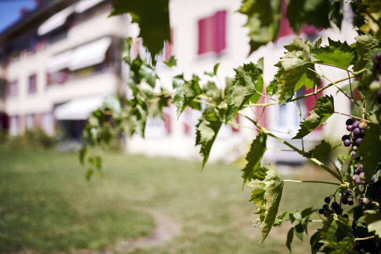 ebg_rf_mfr6587_2.jpg ebg_rf_mfr6587_2.jpg